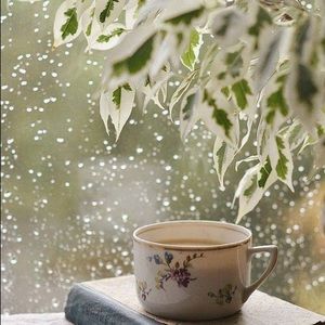 Meet your Posher, Rachael